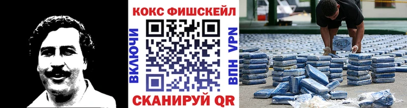 COCAIN Fish Scale Приволжск