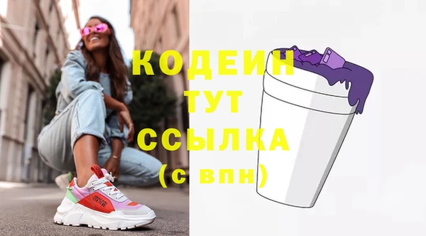 дмт Новозыбков