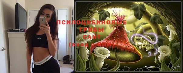 гашиш Видное