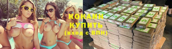 МДПВ Пересвет