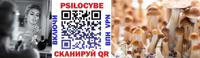 Псилоцибиновые грибы Cubensis Приволжск