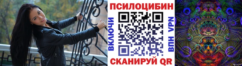 Галлюциногенные грибы Psilocybine cubensis  Приволжск 