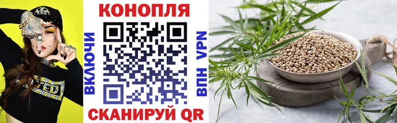 где купить   Приволжск  Конопля сатива 